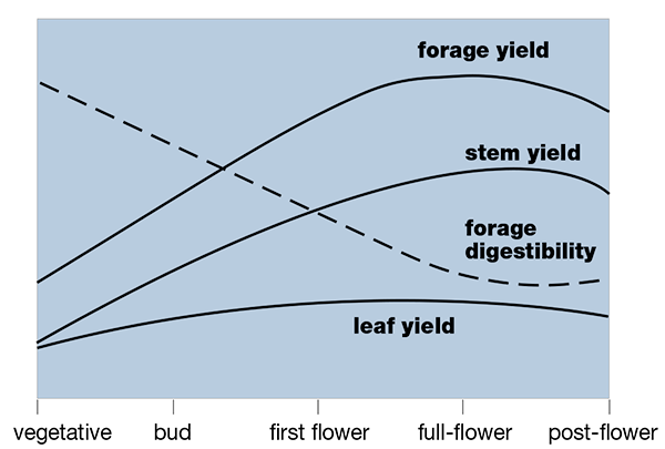 Forage yield relative to quality at different growth stages
